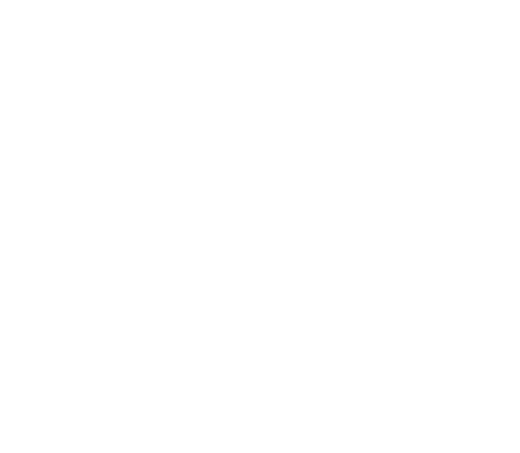 Logo territoria footer